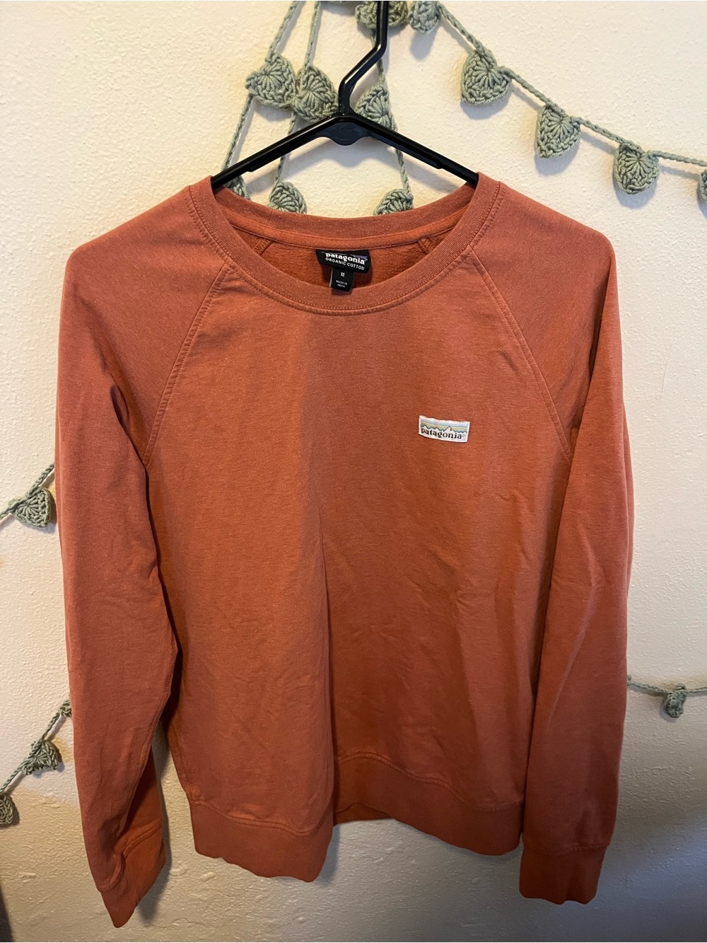 Patagonia Lightweight Crewneck Cotton Sweatshirt- Medium